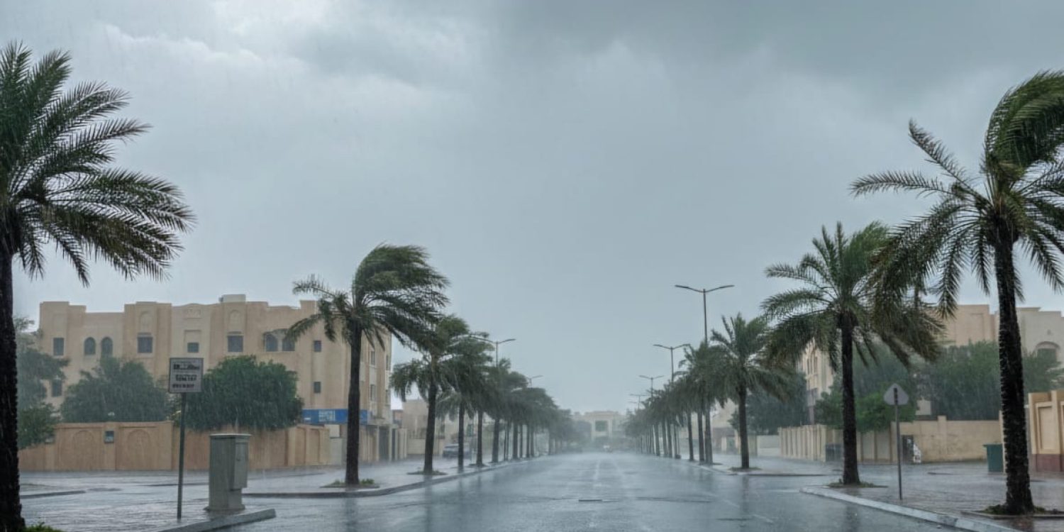 WhatsApp Image 2025-12-18 at 18.53.10